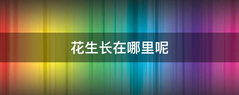 花生长在哪里呢 花生长在哪儿花生长在哪里