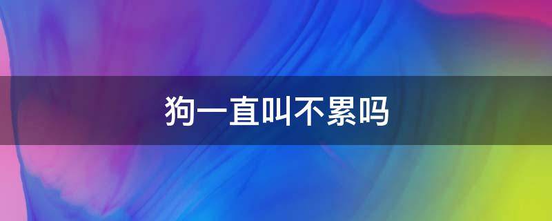 狗一直叫不累吗 狗叫为什么不累