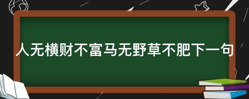 人无横财不富马无野草不肥下一句（人无横财不富马无夜草不肥下一句什么意思）