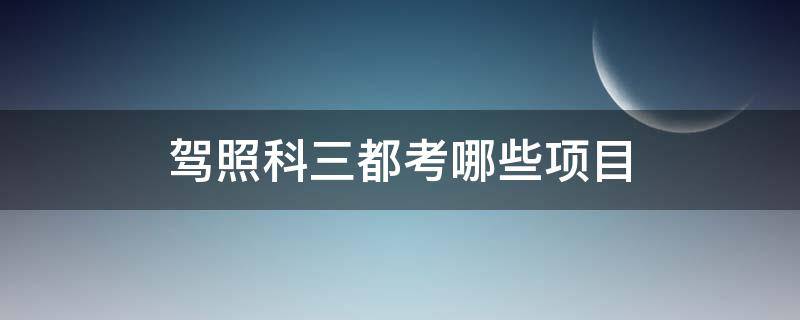 驾照科三都考哪些项目（驾照科三都考哪些项目及评测标准）