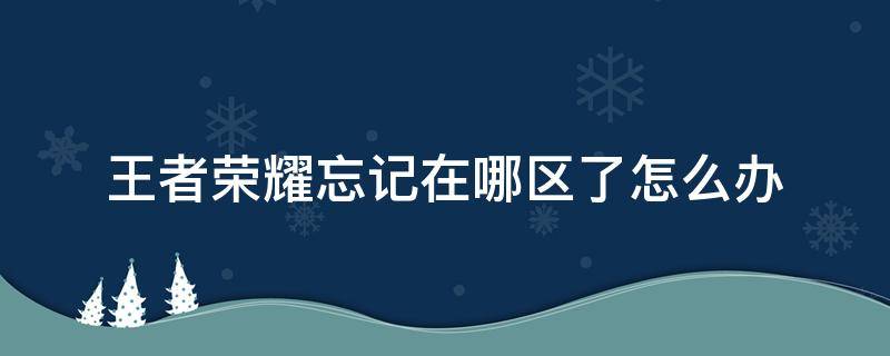 王者荣耀忘记在哪区了怎么办（王者荣耀忘记在哪区了怎么办苹果）