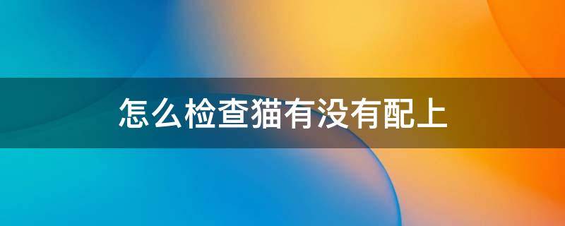 怎么检查猫有没有配上 怎么看猫是否配上