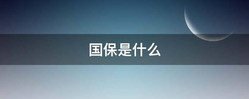 国保是什么（国保是什么警种）