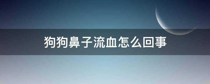 狗狗鼻子流血怎么回事（狗狗鼻子流血怎么办）