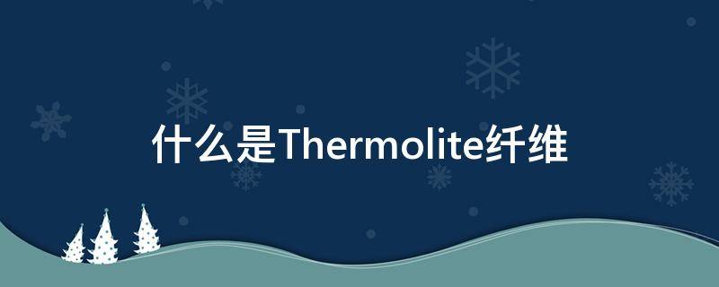 什么是Thermolite纤维（Thermolite纤维）