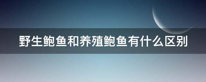 野生鲍鱼和养殖鲍鱼有什么区别 野生鲍鱼和家养鲍鱼区别