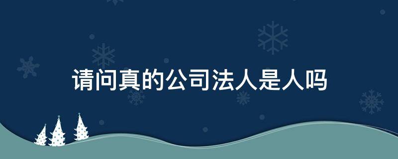 请问真的公司法人是人吗 公司就是法人吗