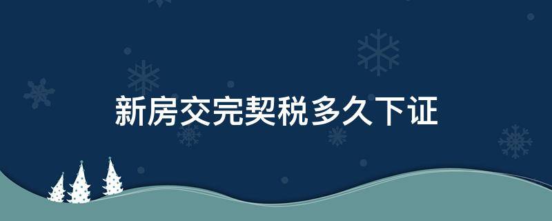 新房交完契税多久下证（新房交完契税多久下证自己办理快吗）