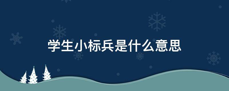 学生小标兵是什么意思（小学生小标兵什么意思）