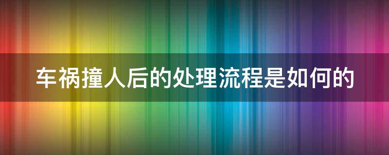 车祸撞人后的处理流程是如何的 车祸撞人后的处理流程是如何的呢