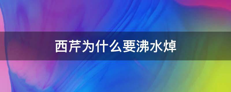 西芹为什么要沸水焯 西芹用不用开水焯一下