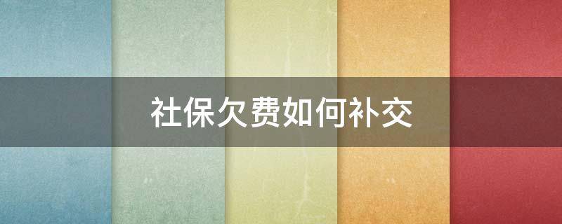 社保欠费如何补交（社保欠费如何补交欠费）