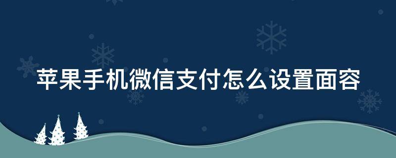 苹果手机微信支付怎么设置面容（苹果手机微信支付怎么设置面容密码）