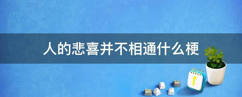 人的悲喜并不相通什么梗（人和人的悲欢并不相通什么梗）