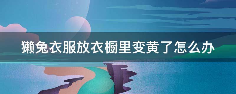 獭兔衣服放衣橱里变黄了怎么办（獭兔衣服怎么保存）