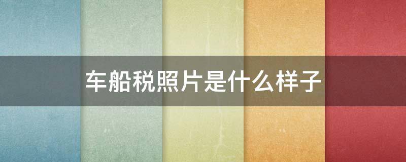 车船税照片是什么样子 车船税照片是什么样子单子