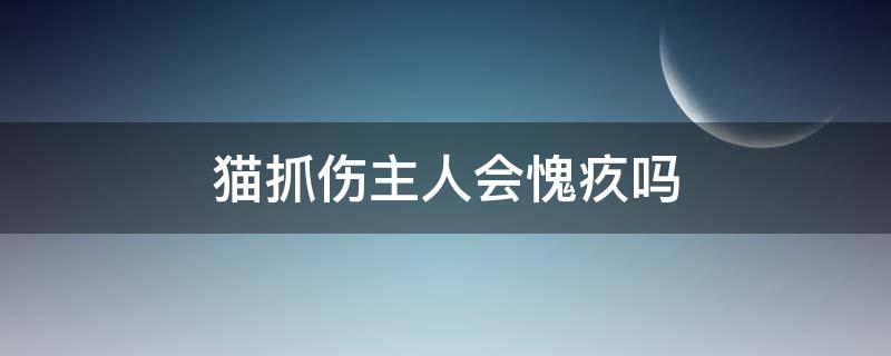 猫抓伤主人会愧疚吗（猫抓伤主人猫自己知不知道）