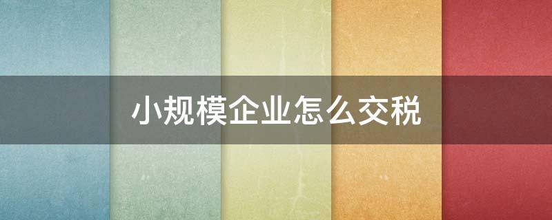 小规模企业怎么交税（小规模企业怎么做会计分录）