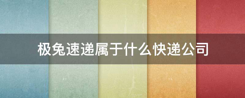 极兔速递属于什么快递公司（极兔速递属于什么快递公司怎么加入）