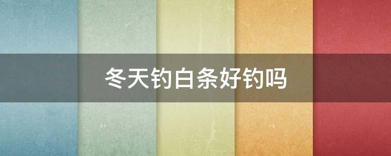 冬天钓白条好钓吗（冬天好钓白条吗?）