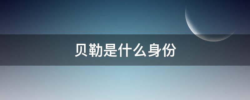 贝勒是什么身份（清朝贝勒是什么身份）