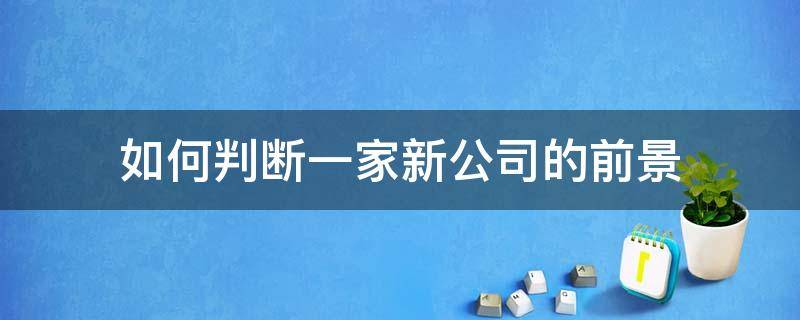 如何判断一家新公司的前景（新公司有发展前景吗）