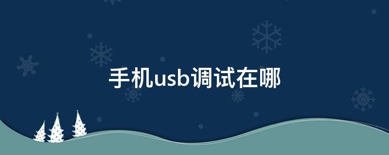 手机usb调试在哪（荣耀手机usb调试在哪）