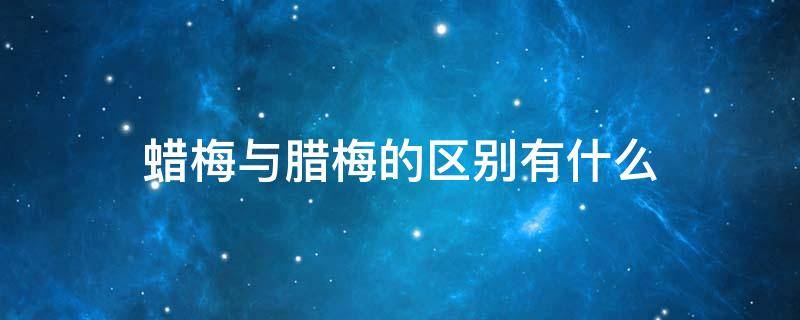 蜡梅与腊梅的区别有什么 腊梅还是蜡梅