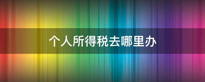 个人所得税去哪里办 个人所得税应该去哪里办理