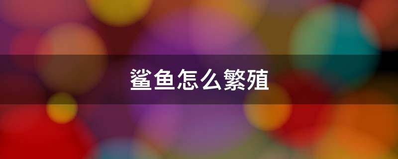 鲨鱼怎么繁殖 鲨鱼是怎样繁殖后代的