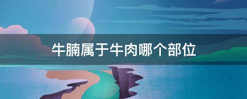 牛腩属于牛肉哪个部位 牛腩是牛的哪个部位