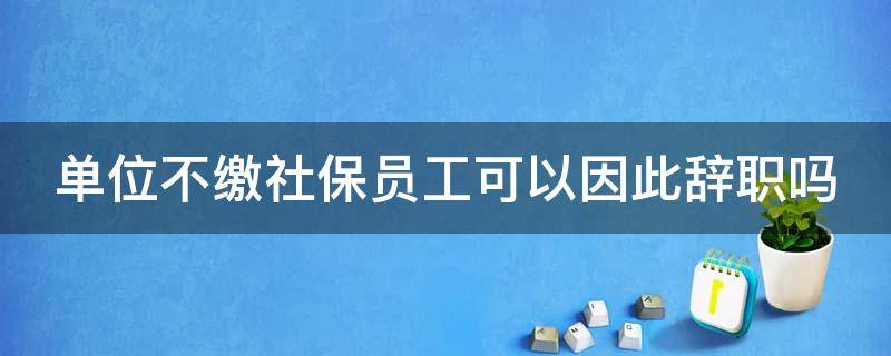 单位不缴社保员工可以因此辞职吗（单位不交社保可以随时离职吗?工资能拿到吗?）