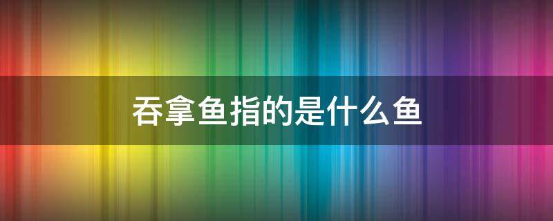 吞拿鱼指的是什么鱼（吞拿鱼为什么叫吞拿鱼）