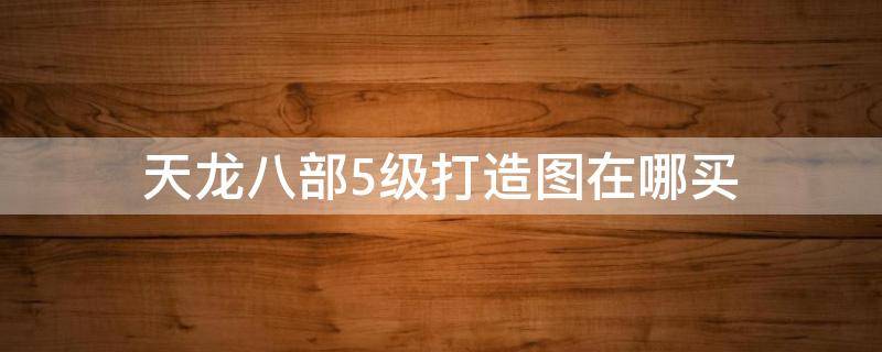 天龙八部5级打造图在哪买（新天龙八部5级打造图在哪里买）