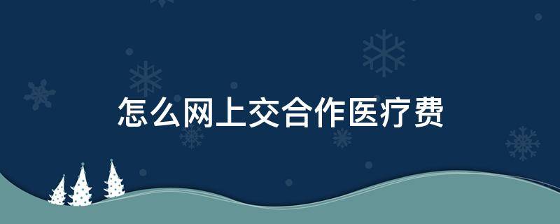 怎么网上交合作医疗费 合作医疗如何从网上交费