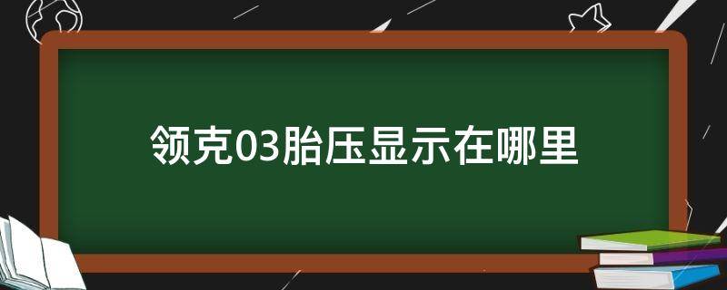 领克03胎压显示在哪里