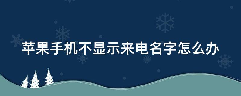 苹果手机不显示来电名字怎么办（iphone不显示来电名字）