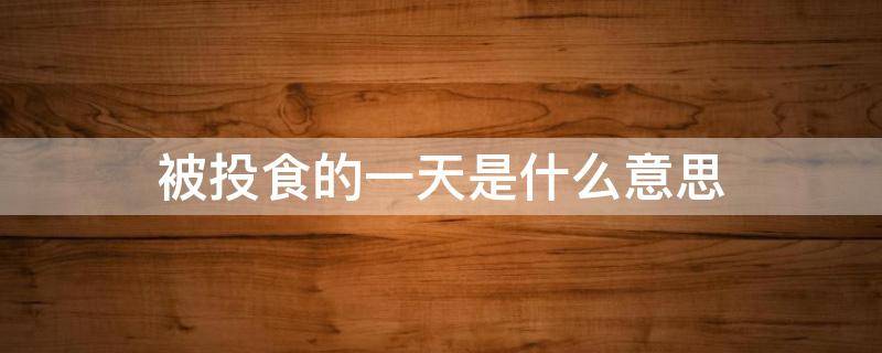 被投食的一天是什么意思（日常被投食的一天）