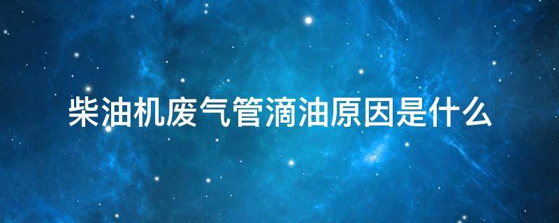 柴油机废气管滴油原因是什么（柴油发电机废气管滴油是怎么了）
