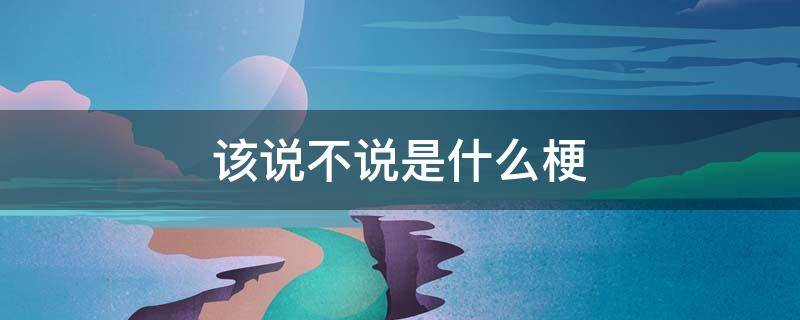 该说不说是什么梗（但我不说什么梗）