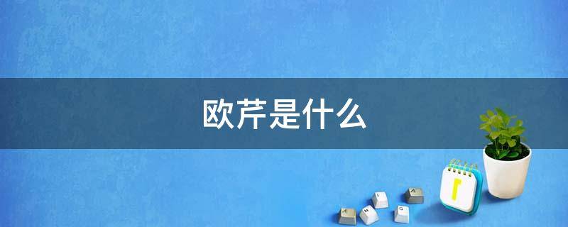 欧芹是什么 欧芹是什么东西