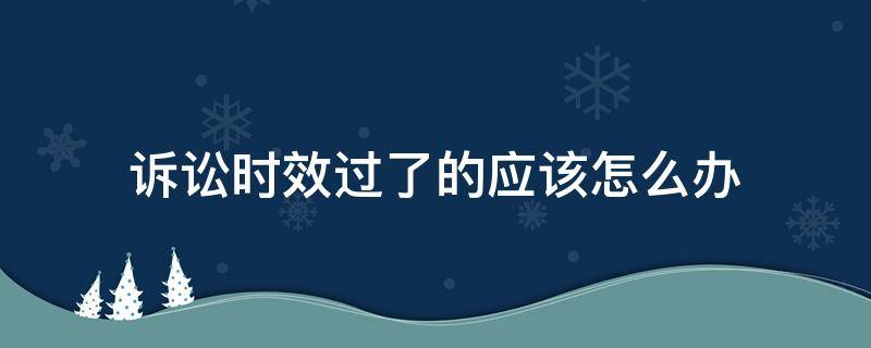 诉讼时效过了的应该怎么办（诉讼过了时效期怎么办）