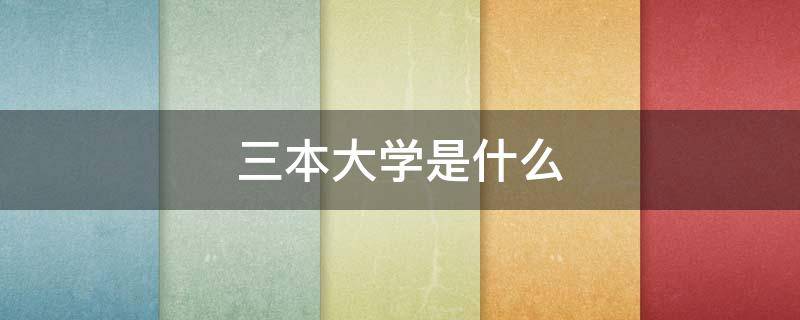 三本大学是什么（三本大学是什么概念）