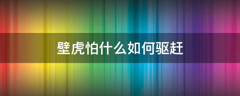 壁虎怕什么如何驱赶（壁虎最怕什么,怎样才能消除壁虎）