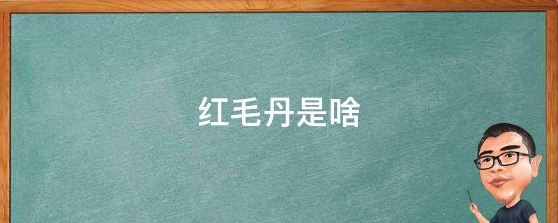红毛丹是啥（红毛丹是啥意思）