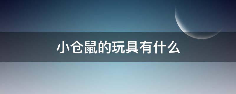 小仓鼠的玩具有什么（仓鼠有玩具吗）