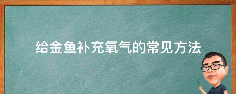 给金鱼补充氧气的常见方法（怎么给小金鱼给氧气）