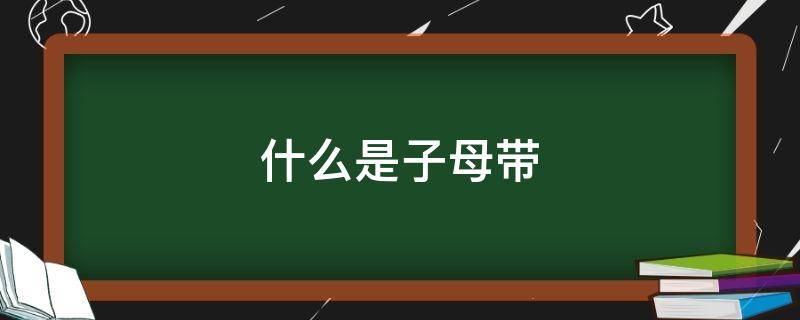 什么是子母带（母带到底是什么）