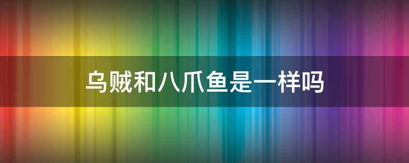 乌贼和八爪鱼是一样吗（乌贼鱼和八爪鱼一样吗）
