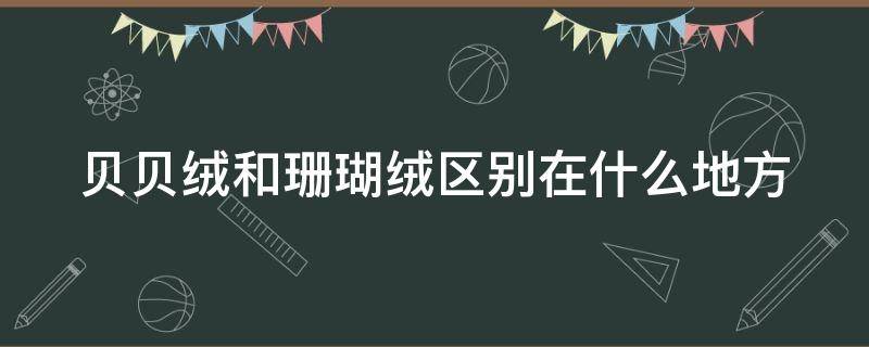 贝贝绒和珊瑚绒区别在什么地方（贝贝绒优缺点）